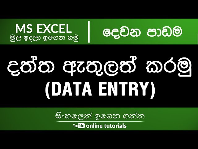 Microsoft Excel Beginner Course (Sinhala) Part 02 - Data Entry