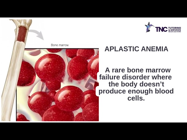 MOST COMMON TYPES OF ANEMIA Part 1