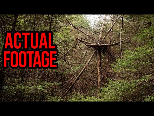 STUNNING Trail Cam Footage Authorities Can't Explain