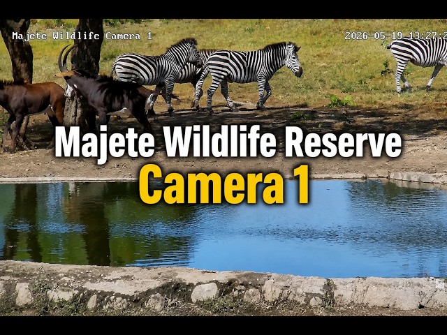 Majete Wildlife Reserve Cam 1 - LIVE from Malawi, Africa!