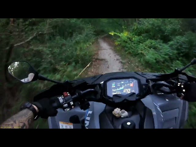 Linhai 550 4x4 POV Off-Road Forest Ride 🔥
