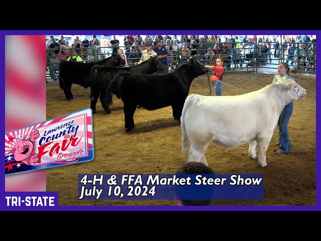 4-H & FFA Market Steer Show - Lawrence County Fair Ohio