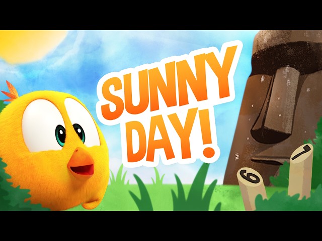 (NEW) SUNNY DAY! 🎶 Where's Chicky?  Nursery Rhyme & Song for Children