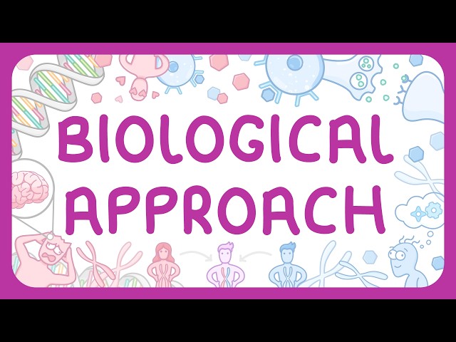 Psychology  - The Biological Approach