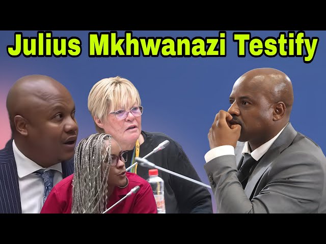 Julius Mkhwanazi testifies at Ad Hoc Committee into General Mkhwanazi allegations.