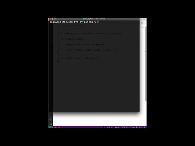 Python Course | Lesson 22: Control Flow | The while Loop The Blue Motorcycle