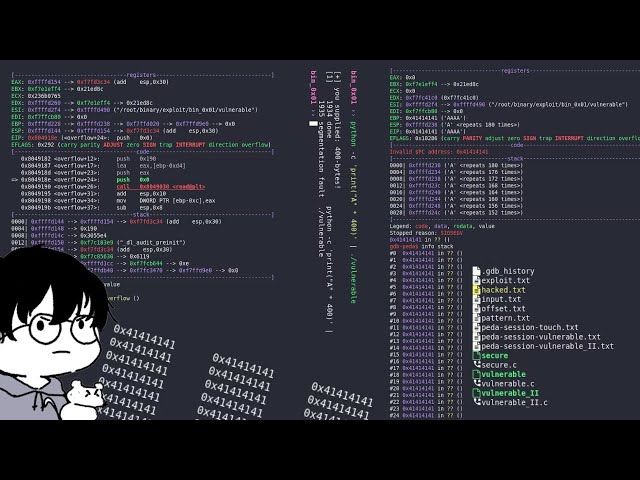 Buffer Overflows: A Symphony of Exploitation