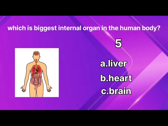 Test your knowledge with this fun quiz! 🤔 Comment your answer below 👇Subscribe for more quizzes!”