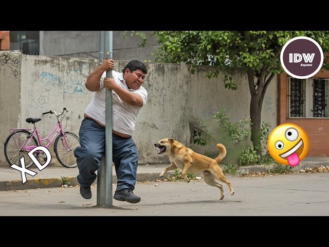SI TE RÍES PIERDES NIVEL DIOS #228 🤣 VIDEOS DE RISA 😎HUMOR VIRAL MEXICANO🤣