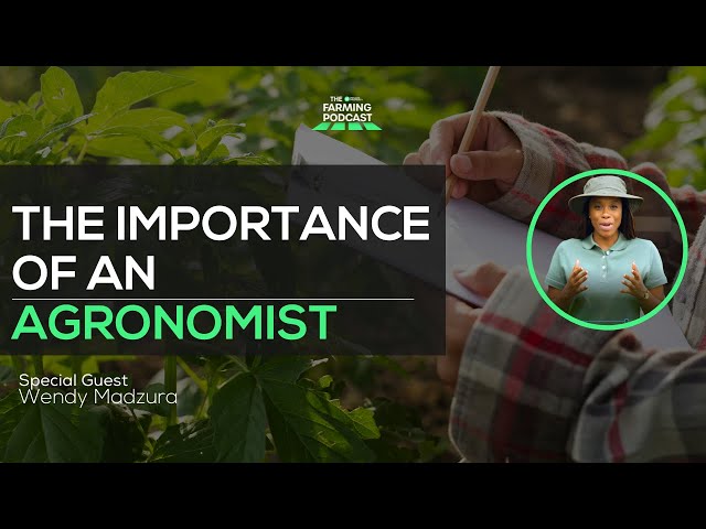 The Importance Of An Agronomist | Farming Tips and Tricks | EP 131