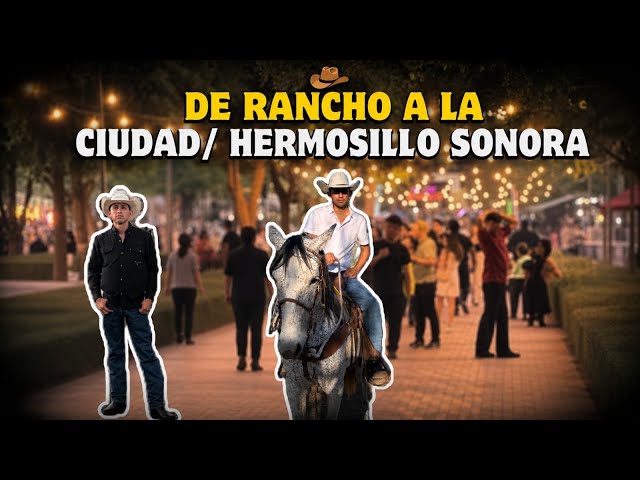 Blog : Una Aventura en La ciudad | De Sierra a Semáforos 