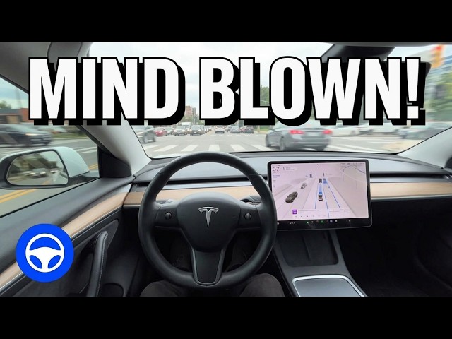 Tesla FSD V14.1 Lite Takes Me On a Drive!