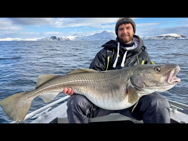 We have never seen so many MONSTER COD!!! Deep Sea Fishing inside Arctic Circle | The Fish Locker