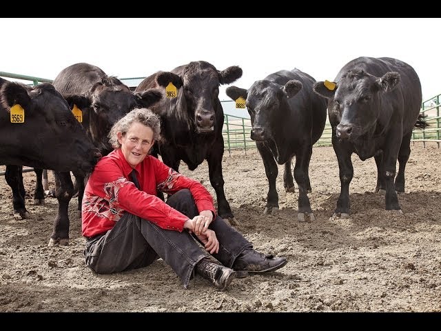Temple Grandin on Visual Thinking and Animal Behavior
