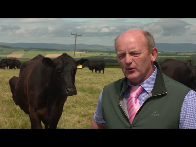 The World Angus Forum 2017 - Day 17