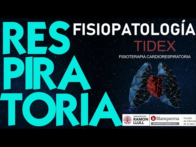 RESPIRATORY PATHOPHYSIOLOGY - OVERVIEW, Insufficiency, Mechanisms, Hypoxemia, Hypercapnia and more