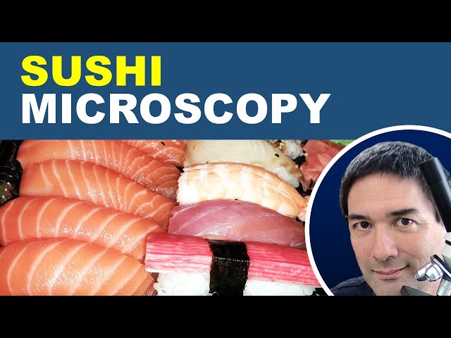 🔬 I Will put SUSHI under the Microscope. Really.