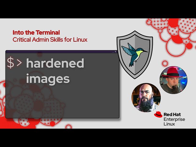 Zero-CVE Containers? Distroless & Hardened Images | Into the Terminal 188