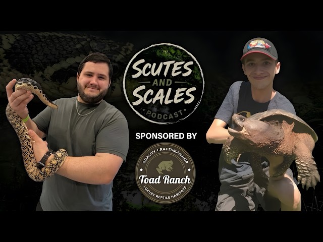 Episode 2 - Legends: Man-Eating Snakes