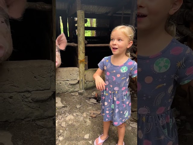 🐷Old McDonald had a pig! #kidssong