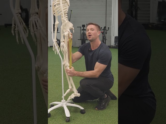 The Secret To Fix Tight Hamstrings