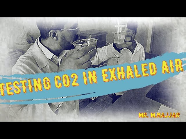 4K-360 CHECKPOINT BIOLOGY_ TESTING Co2 IN THE EXHALED AIR[GRADE 8]