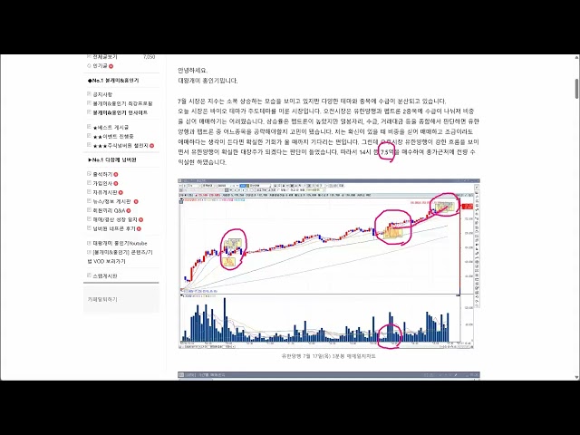 31 주도주 매매타점 분석
