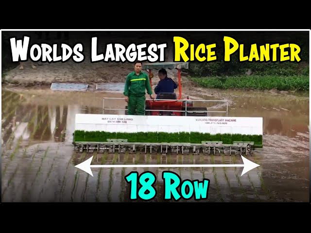 18 Row Rice Transplanter Machine | Largest Rice Planting Machine in the World