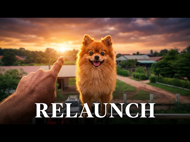farangSCOUSER log; Channel Relaunch