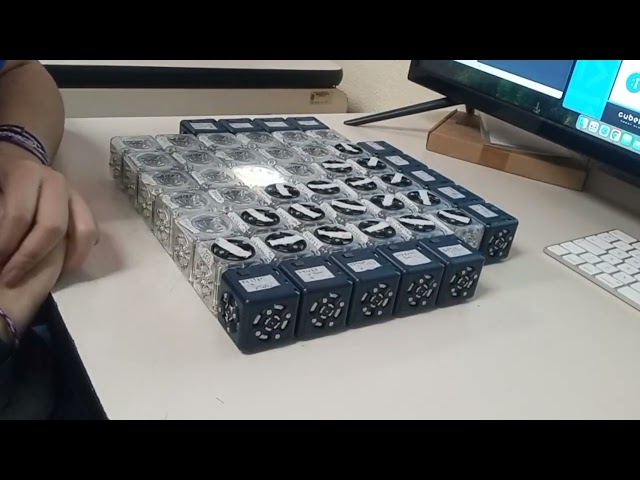 Wolfram Rules in cubelets