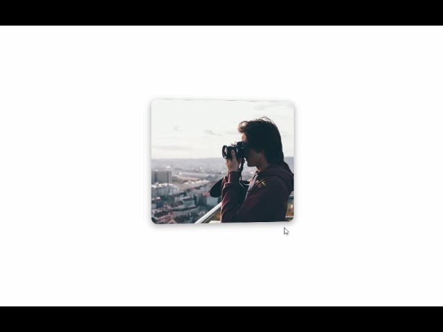 Backface visibility CSS transition hover effect
