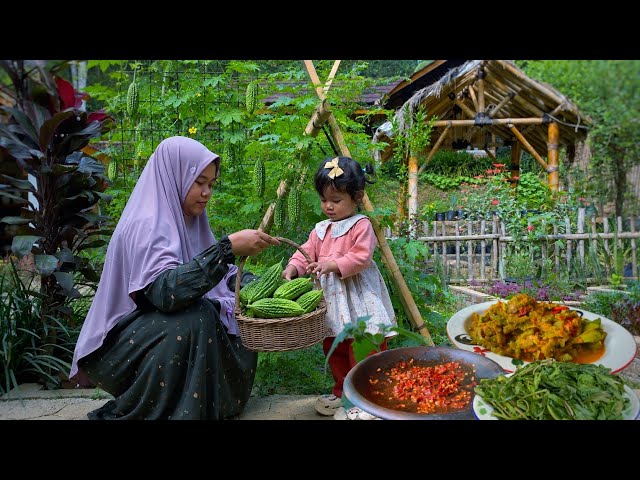 Simple yet delicious rustic cooking | harvesting bitter melon, making fresh red shrimp paste sambal