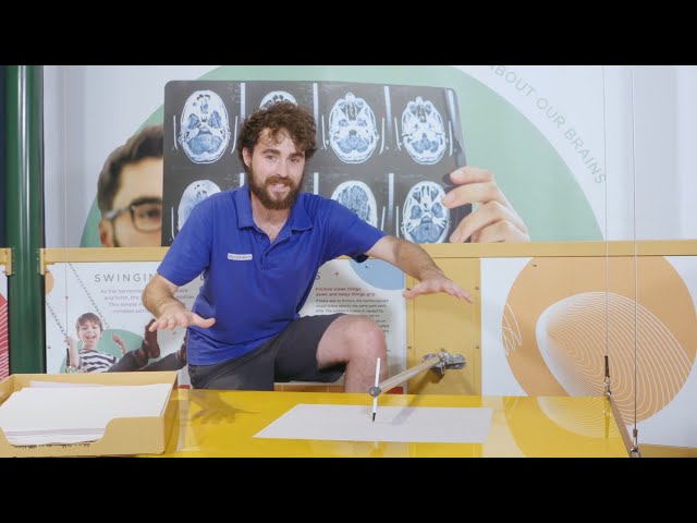 Behind the science of our Harmonograph | Scitech WA
