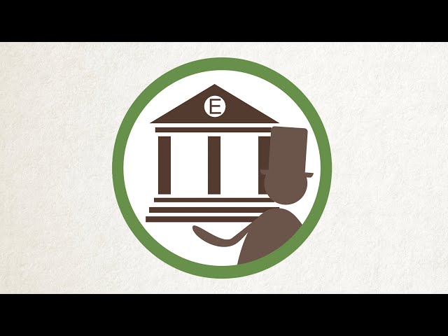 What is the Executive?