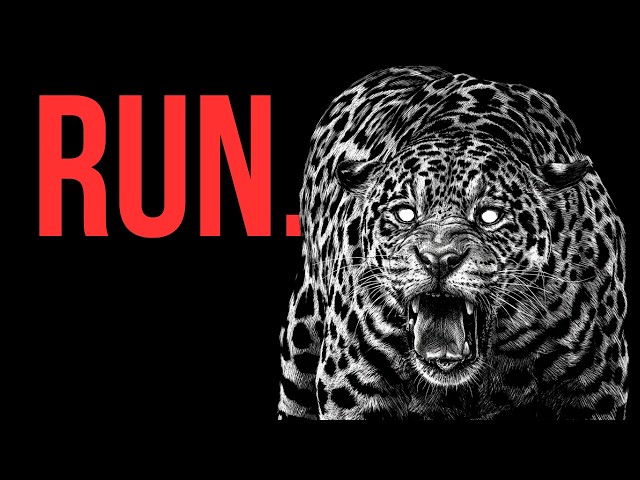 Why You Should Be Terrified of Jaguars