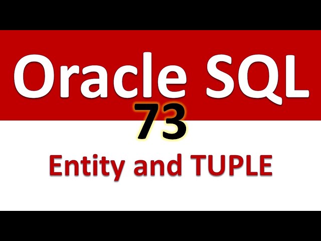 Oracle SQL Developer Tutorial For Beginners  73   ER Model Entity Attribute and TUPLE