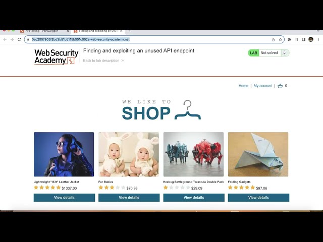 PortSwigger API Testing