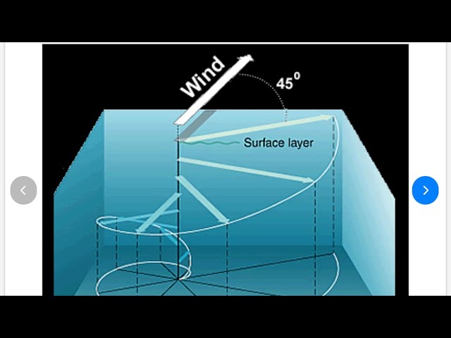 Carbon Sequestration in Oceans: I Chat on the Vital Importance of Ekman Pumping, Sucking and Spirals