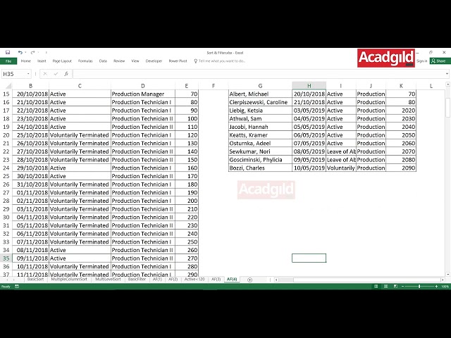 How to Use Advanced Filters in Excel Example   4 ｜ Sort & Filter Functions in Excel 8 YE4H9xxZGNY