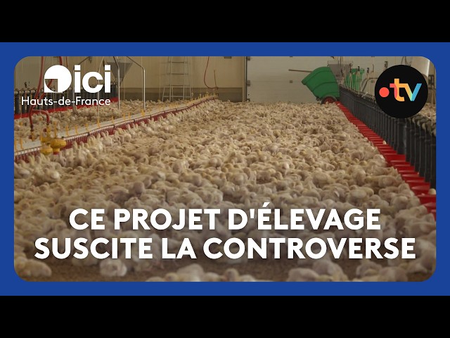 This 40,000-Chicken Farming Project Sparks Controversy