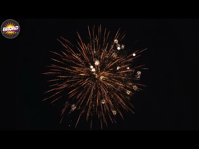 2025 NEW BS2548-25 48*55*300MM 25SHOTS STRAIGHT SHAPE F4 CAKE