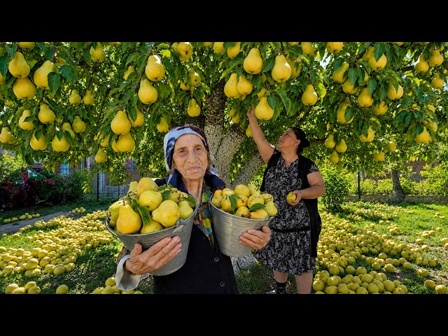 Grandma’s Pear Harvest – Traditional Pear Jam & Irresistible Homemade Desserts!