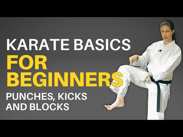 Fundamentos de Karate para Principiantes (Lección de Seguimiento)