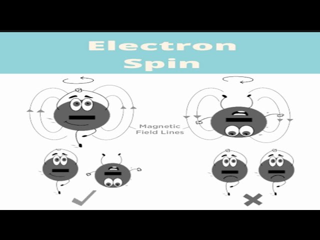 Electron Spin | BSc/MSc/CSIR NET @ Genius Physics by Dr. Divya Jyoti Chawla