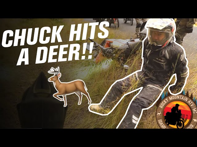 Chuck HITS a DEER on a Motorcycle! | Part 4 RMATVMC Idaho Motorcycle Adventure Ride
