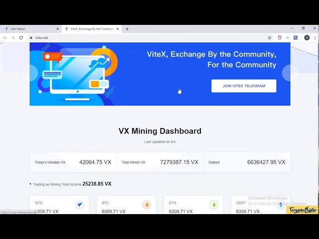 Vite Blockchain Series - Part 3 : Staking Vite for VX