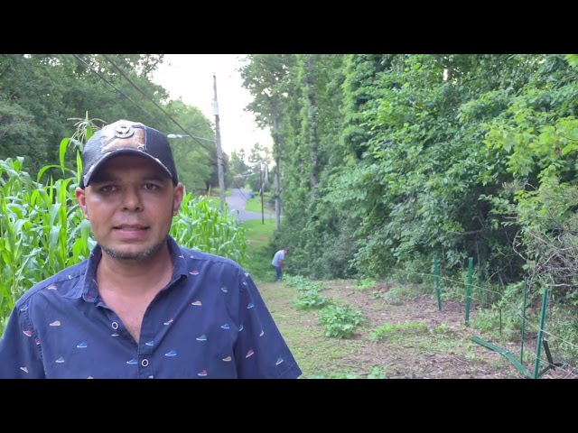 How to grow at home