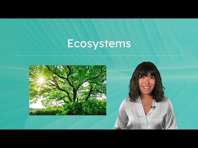 Ecosystems - Their Types and Functions