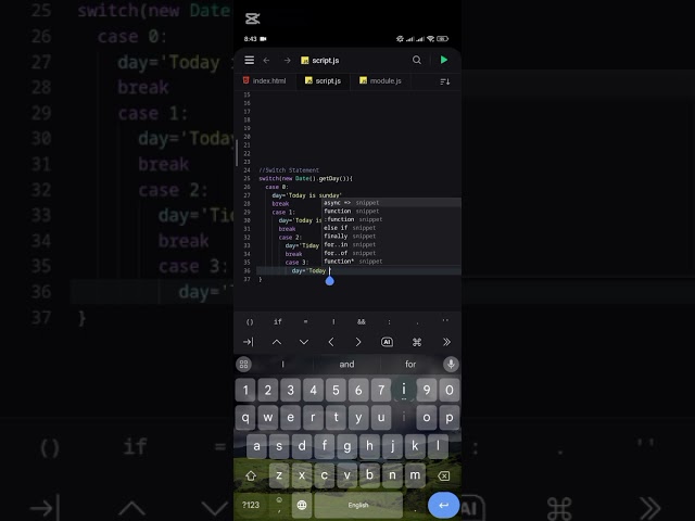 JavaScript switch statement #switchstatement