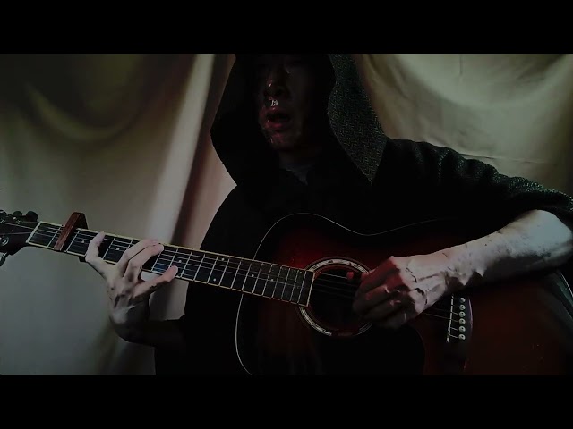 I BELIEVE I'LL DUST MY BROOM  - Robert Johnson #20